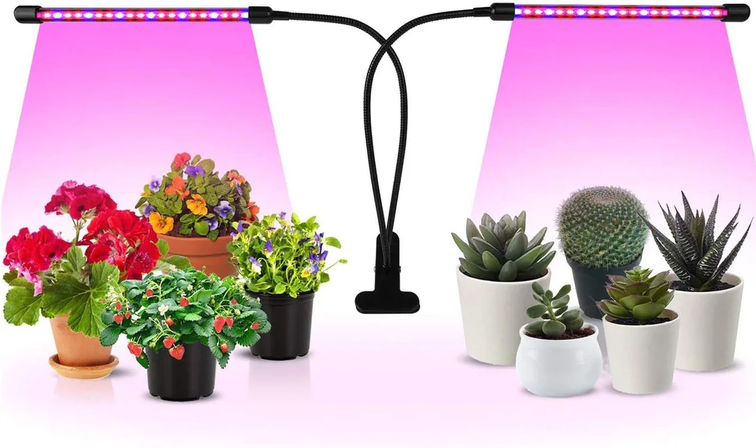lightsdaddy60261