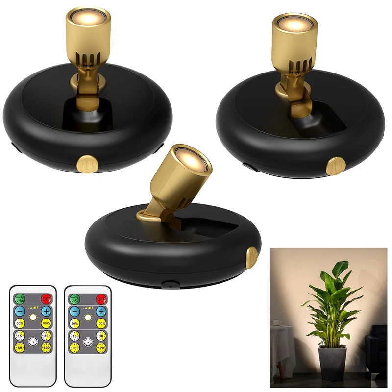lightsdaddy605577