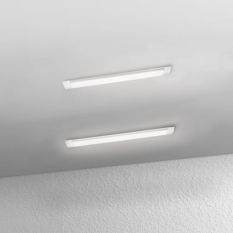 lightsdaddy607324