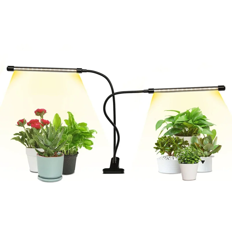 lightsdaddy61370