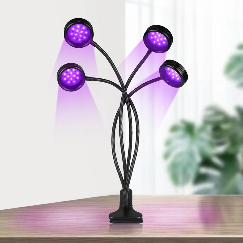 lightsdaddy622016