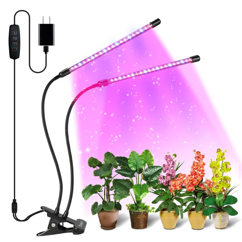 lightsdaddy633124