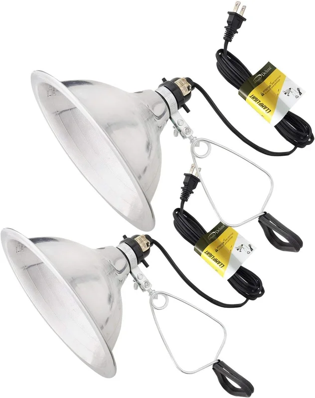 lightsdaddy633135