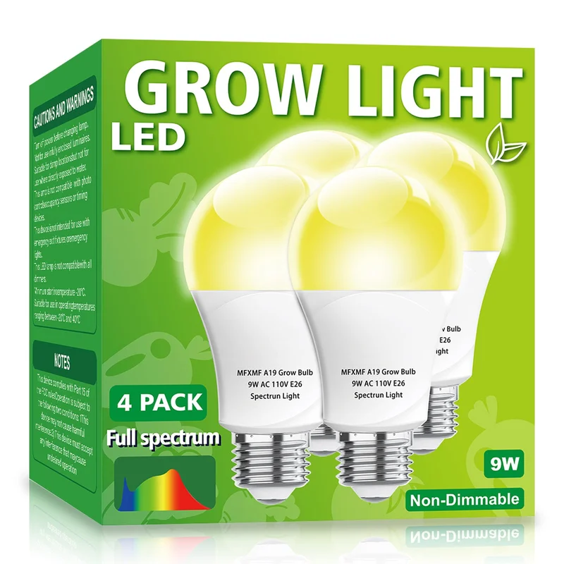 lightsdaddy633263