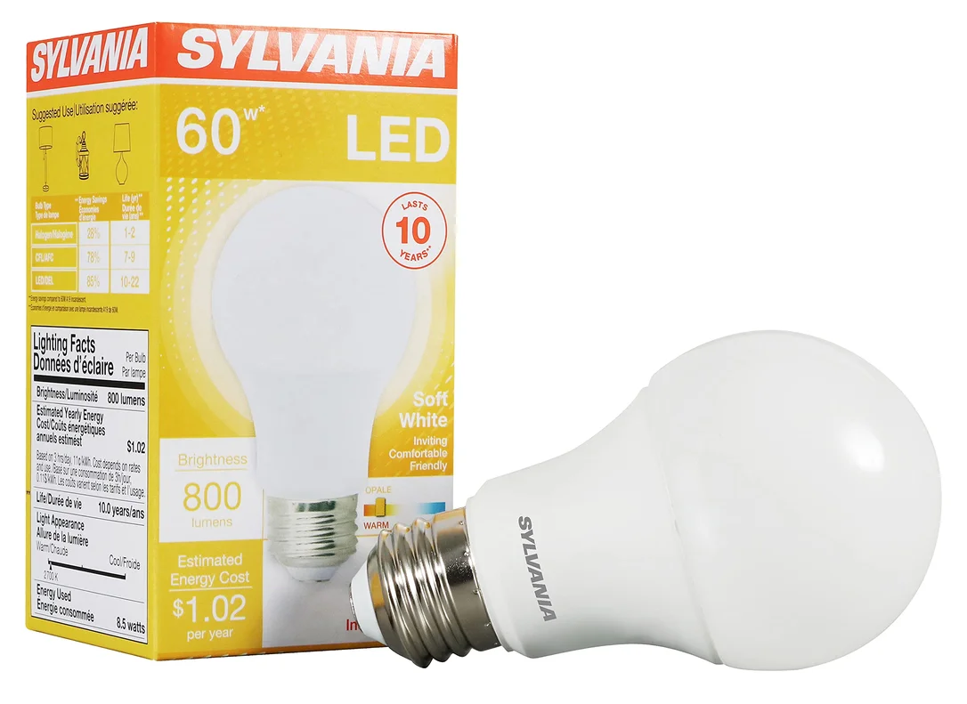 lightsdaddy639161