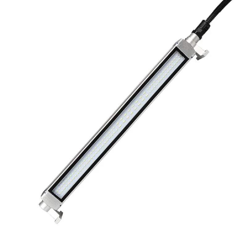 lightsdaddy642520