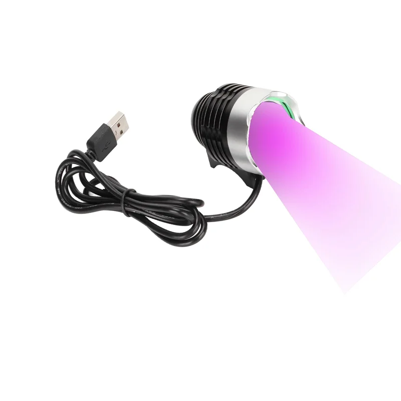lightsdaddy645725