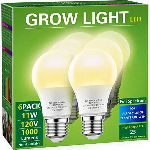 lightsdaddy64601