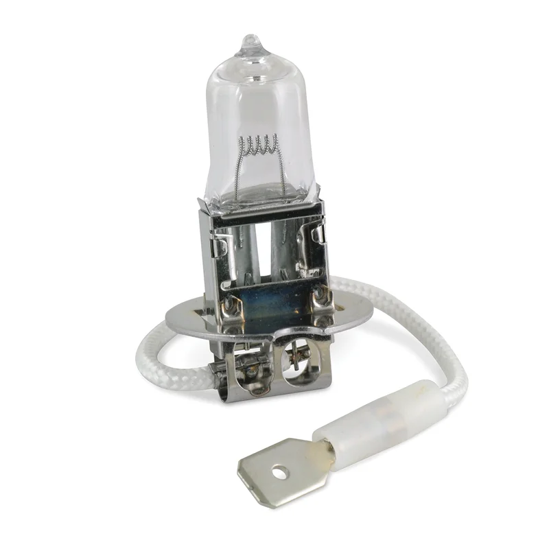 lightsdaddy646041