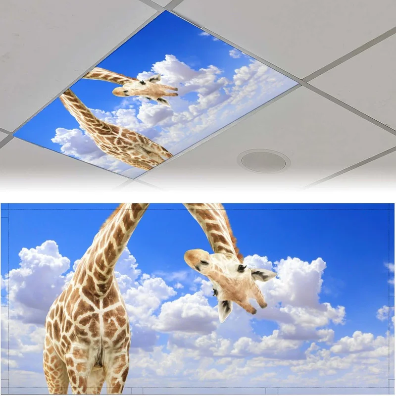 lightsdaddy655302