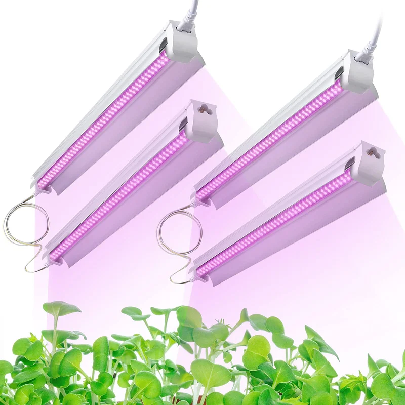 lightsdaddy656118