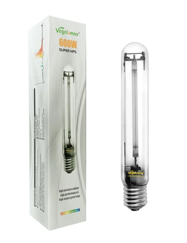 lightsdaddy656249