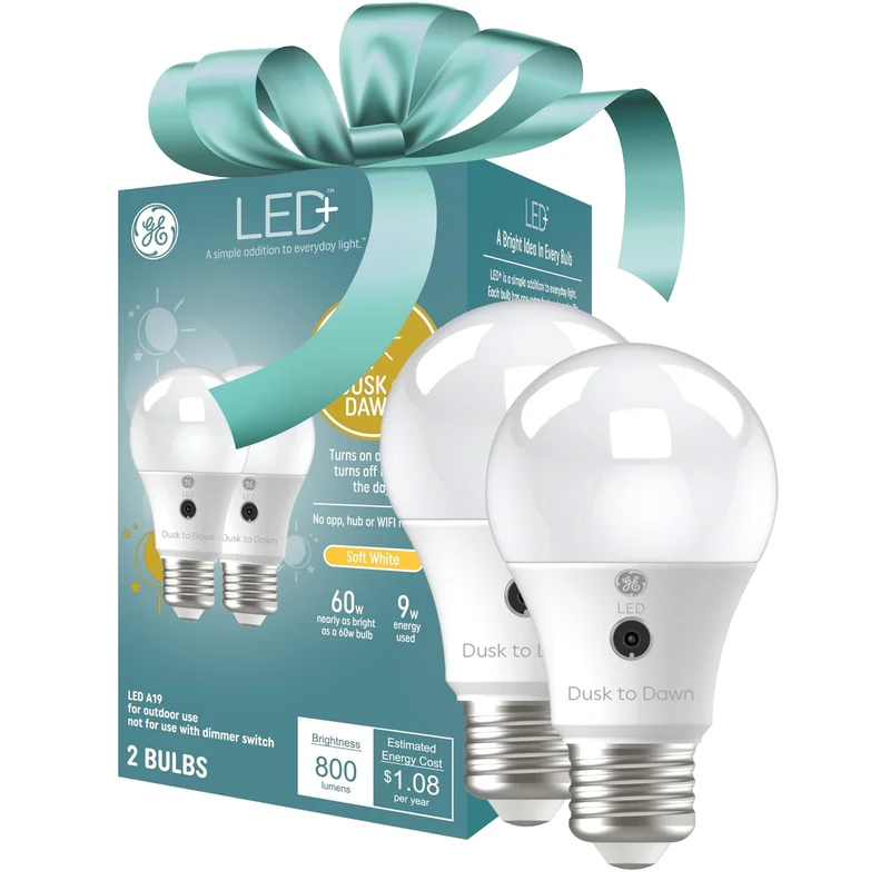 lightsdaddy658427