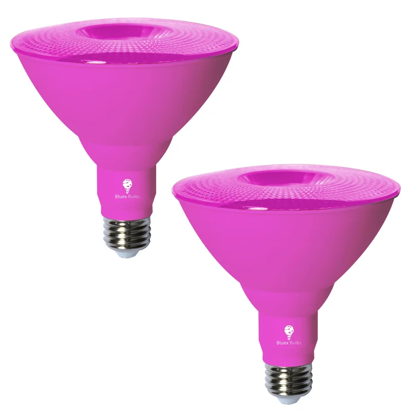 lightsdaddy658986