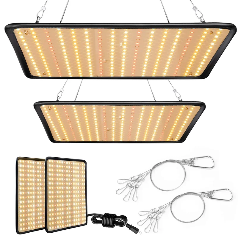 lightsdaddy661641