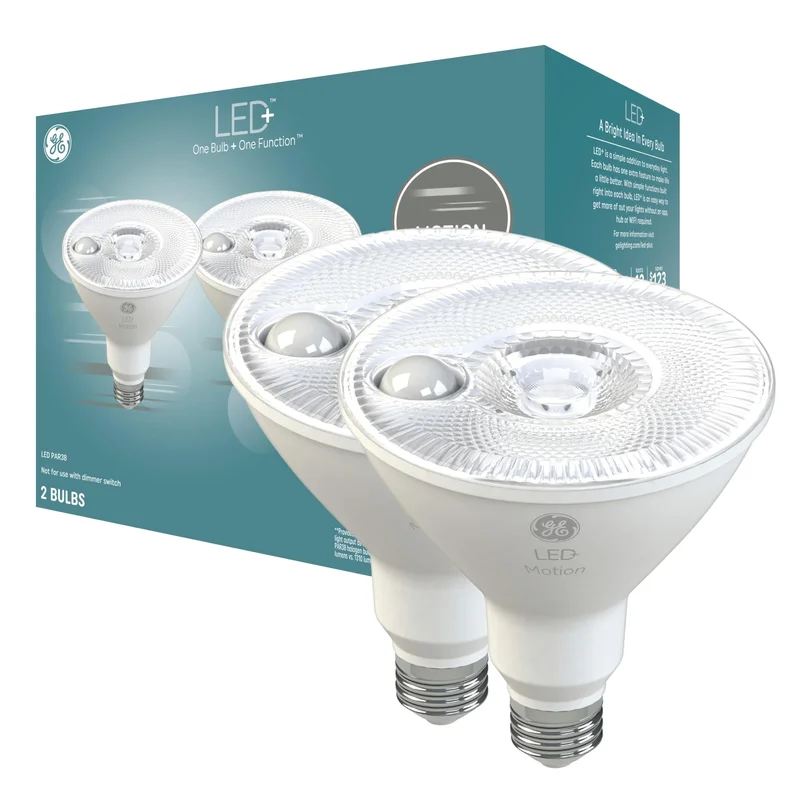 lightsdaddy664342