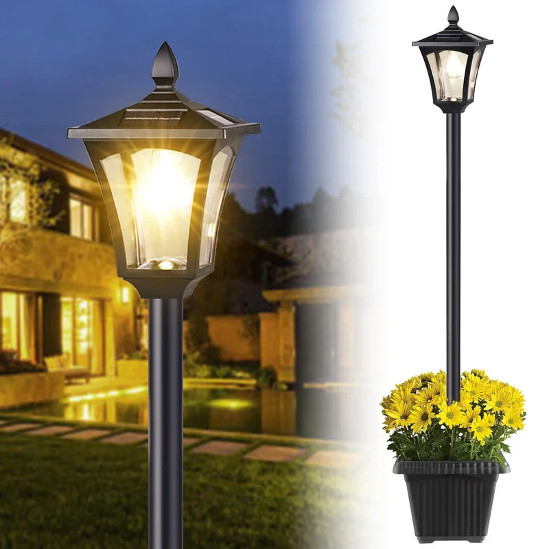 lightsdaddy66570