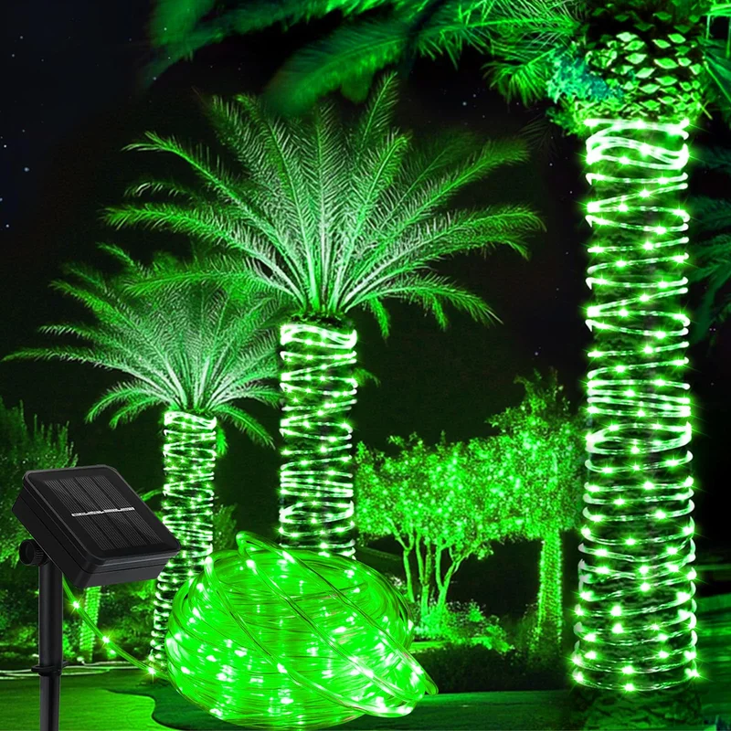 lightsdaddy668185