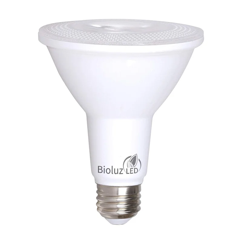 lightsdaddy676038