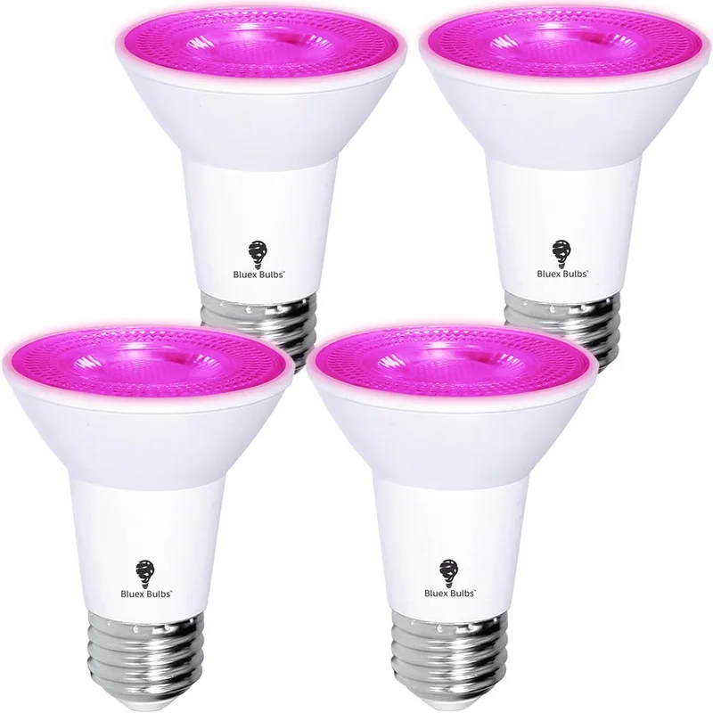 lightsdaddy676187