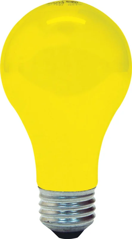 lightsdaddy676581