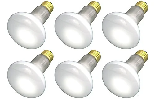lightsdaddy678404