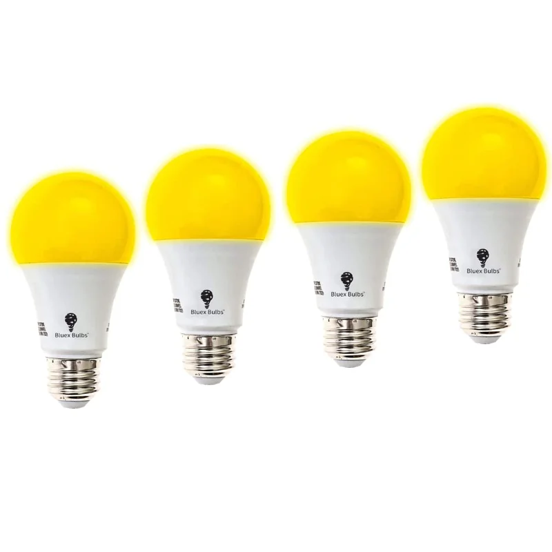 lightsdaddy679556