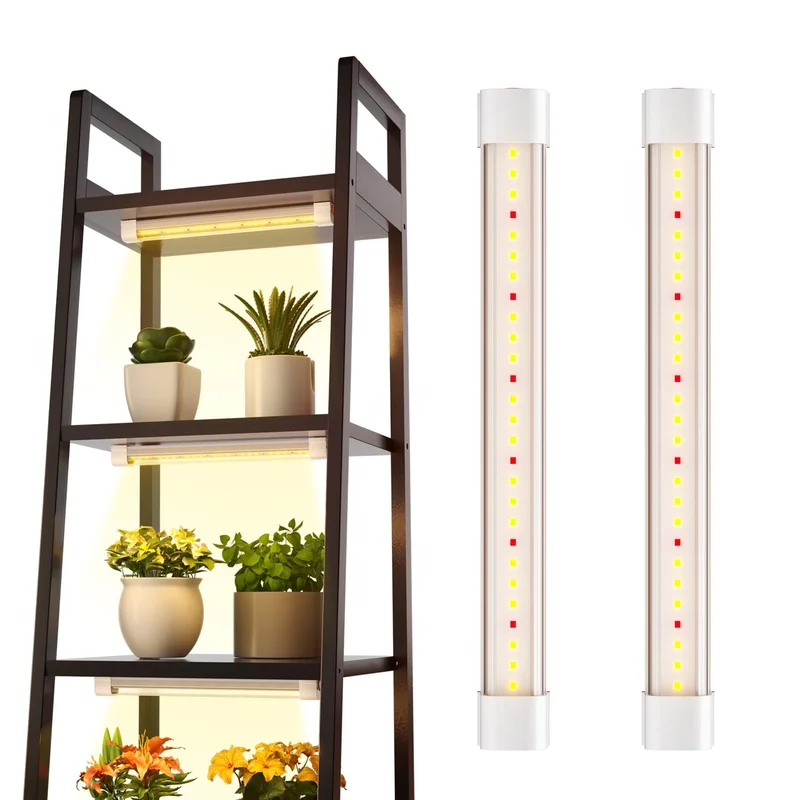 lightsdaddy680623