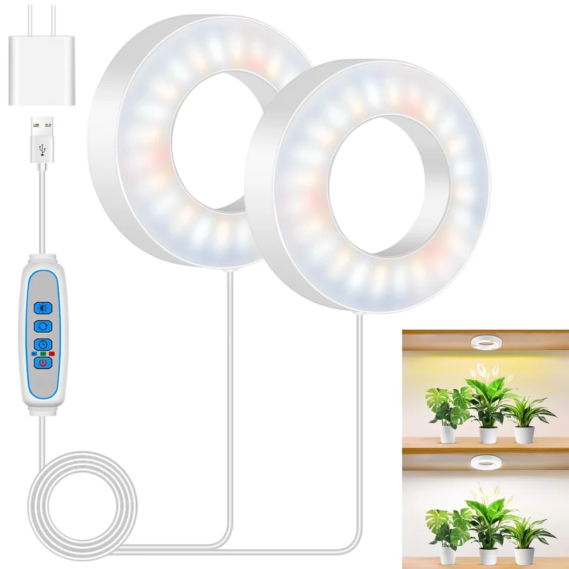 lightsdaddy681430