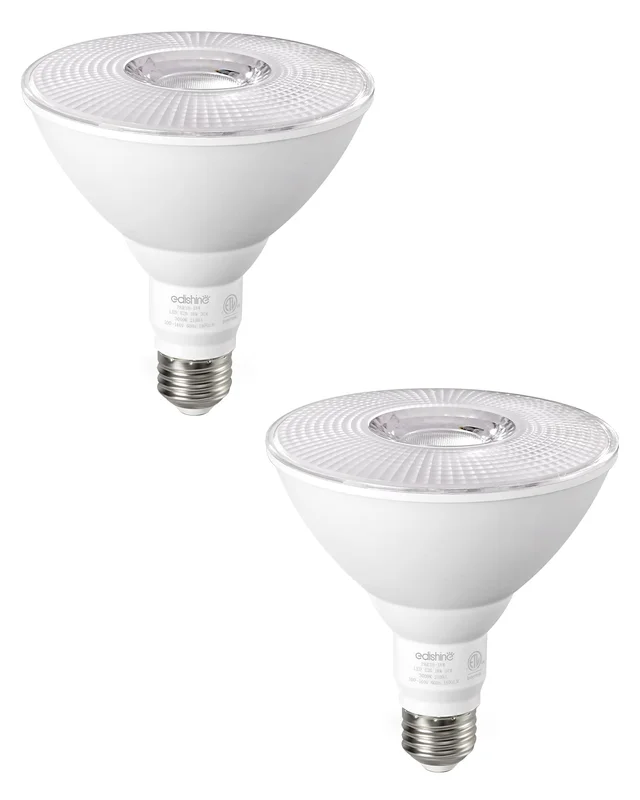 lightsdaddy681452