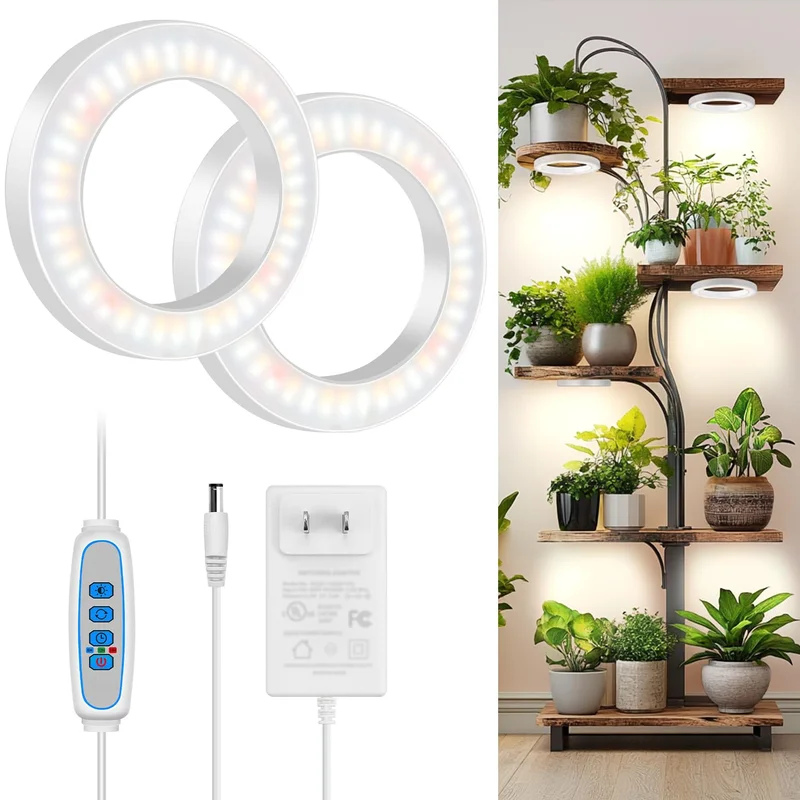 lightsdaddy681653