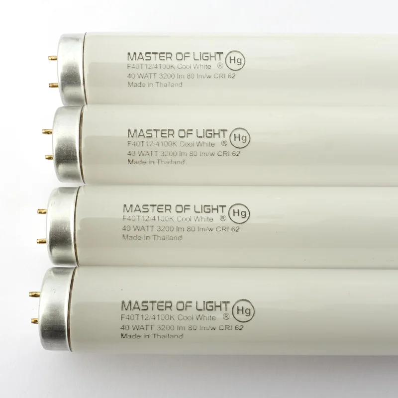 lightsdaddy682763
