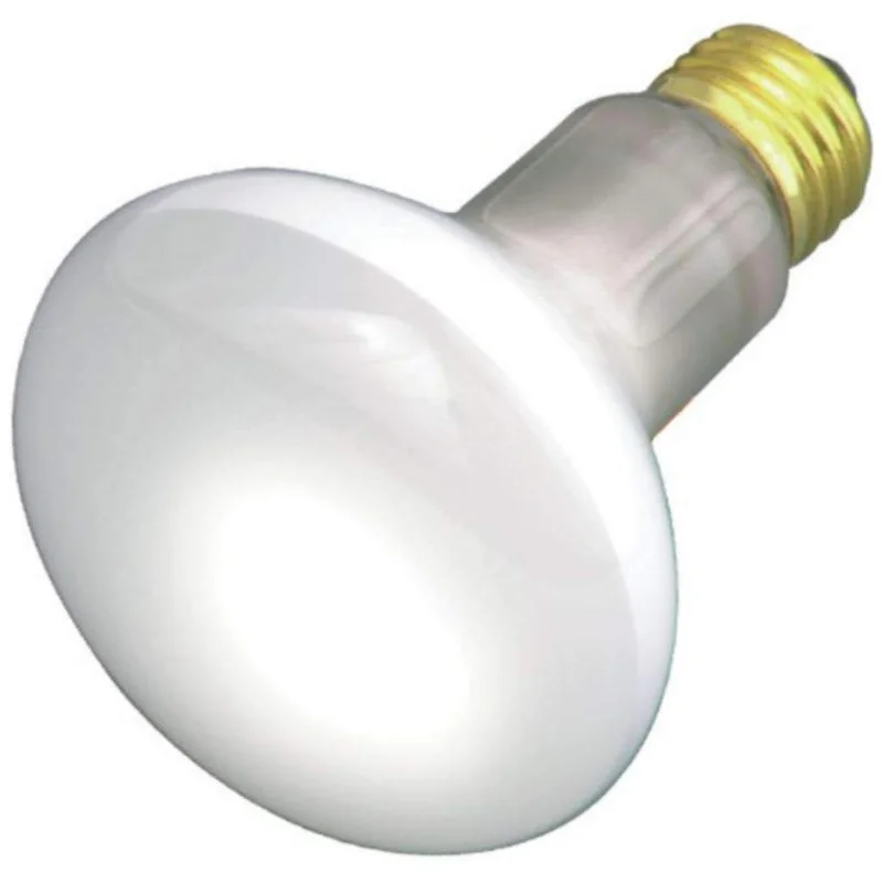 lightsdaddy688193