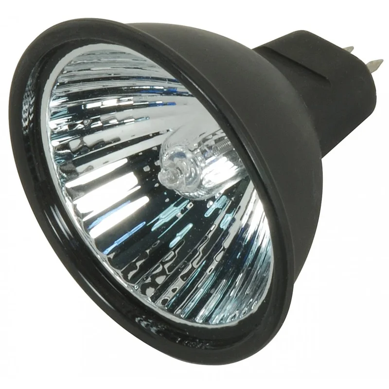 lightsdaddy689019