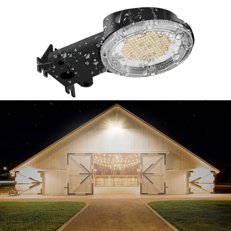 lightsdaddy691992