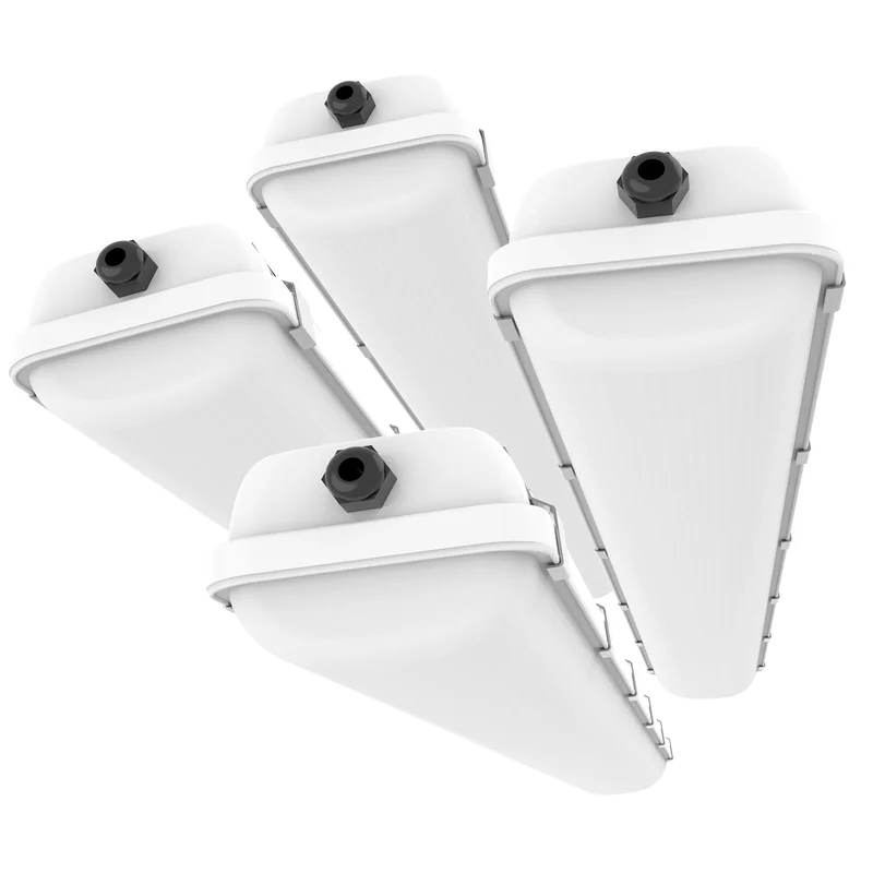 lightsdaddy701610