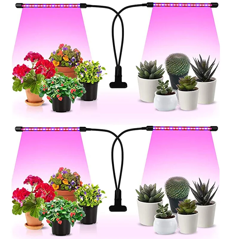 lightsdaddy705941