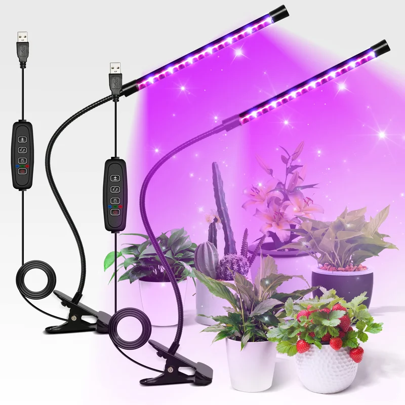 lightsdaddy706175