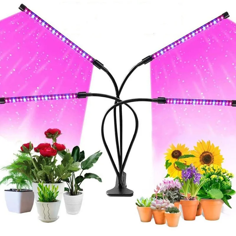 lightsdaddy706452