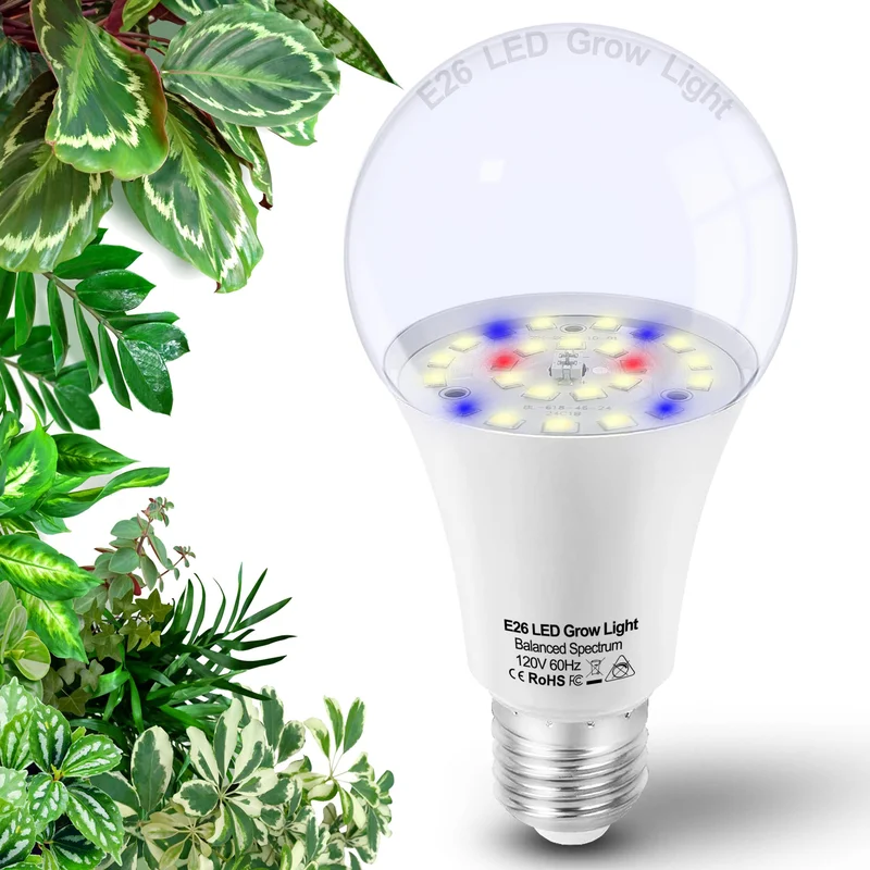 lightsdaddy706517