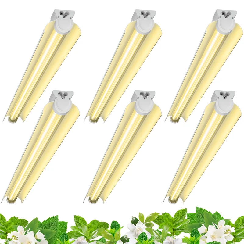 lightsdaddy706577