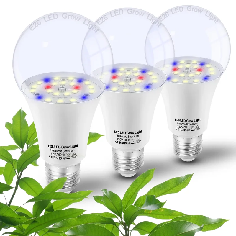 lightsdaddy706612