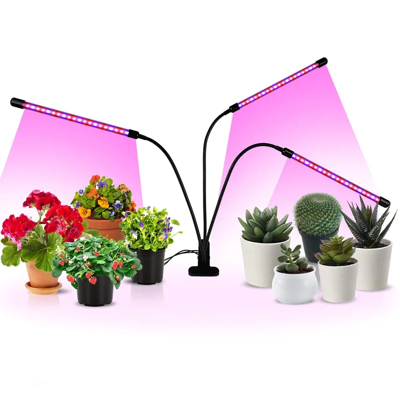 lightsdaddy706670