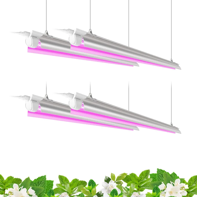 lightsdaddy706881