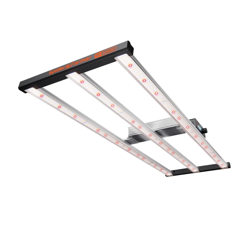 lightsdaddy706941
