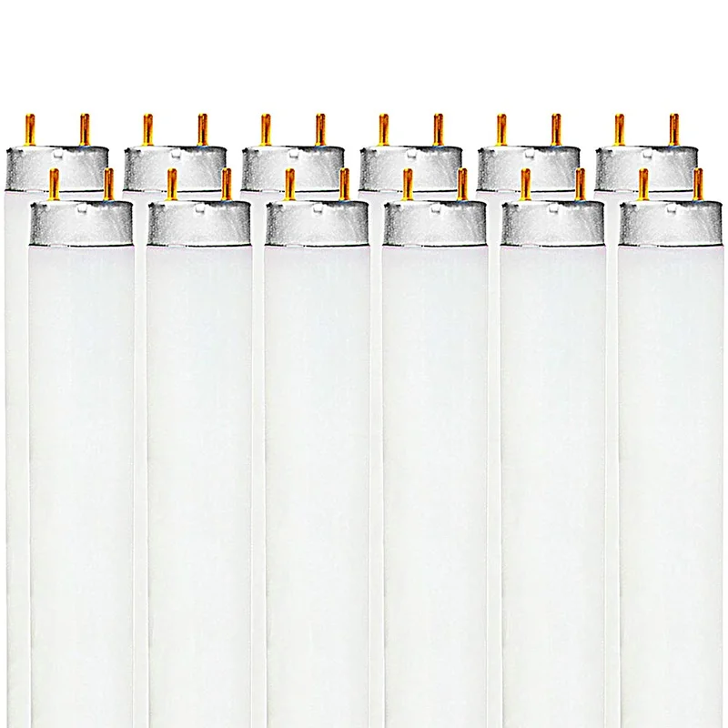 lightsdaddy710806