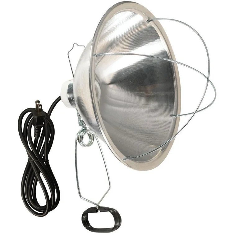 lightsdaddy711197
