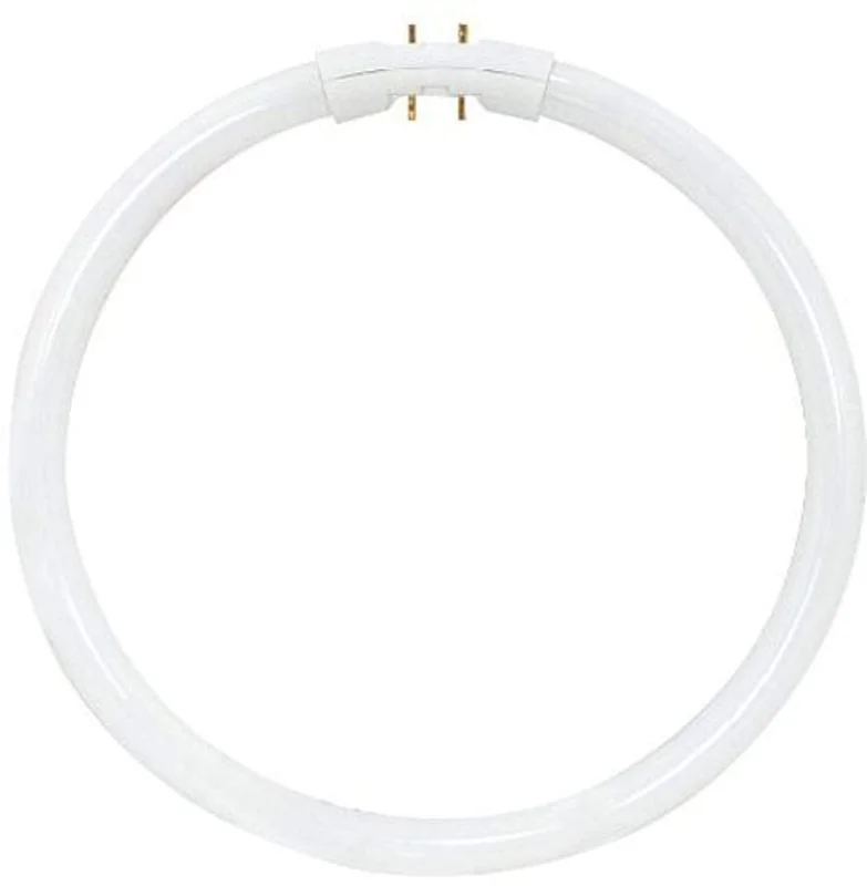 lightsdaddy712740
