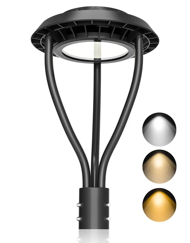 lightsdaddy72124