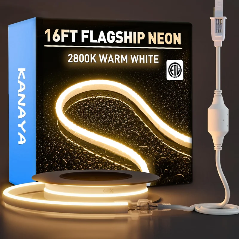 lightsdaddy722887